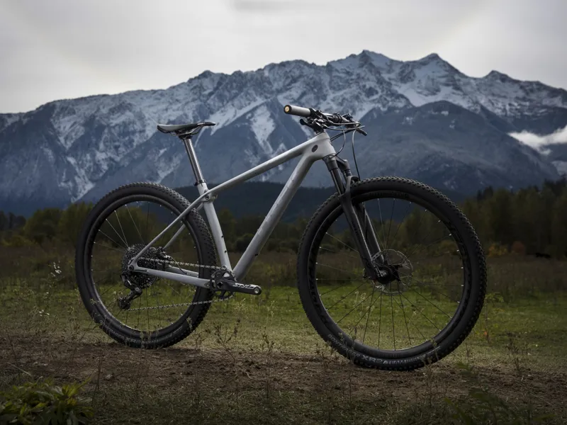 2019 trek procaliber 9.8 sl sale