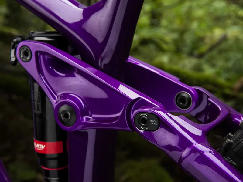 trek remedy purple