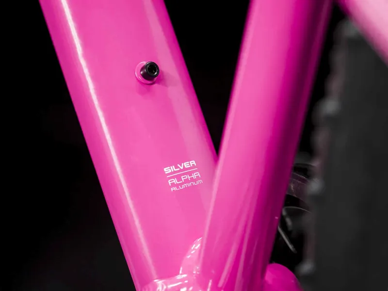 Trek Roscoe 20 2020 Kids Mountain Bike Flamingo Pink-7