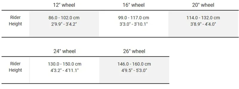 Trek Roscoe 20 2020 Kids Mountain Bike Quicksilver-8
