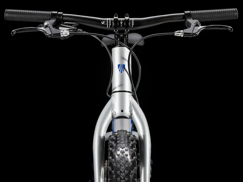 Trek Roscoe 20 2020 Kids Mountain Bike Quicksilver