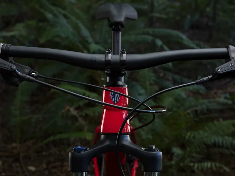 Trek Roscoe 6 2019 Hardtail Mountain Bike Red-7