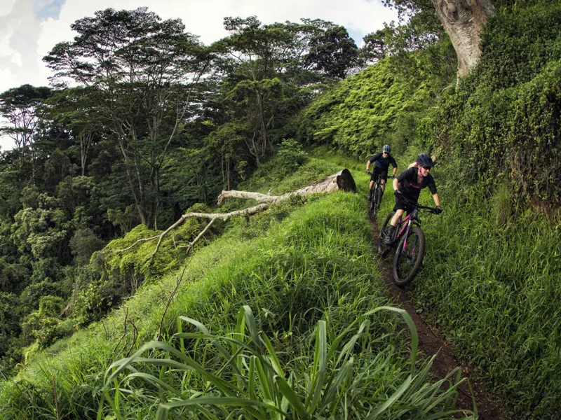 Trek Roscoe 8 Womens 2018 Matte Dnister Black Mountain Bike-10