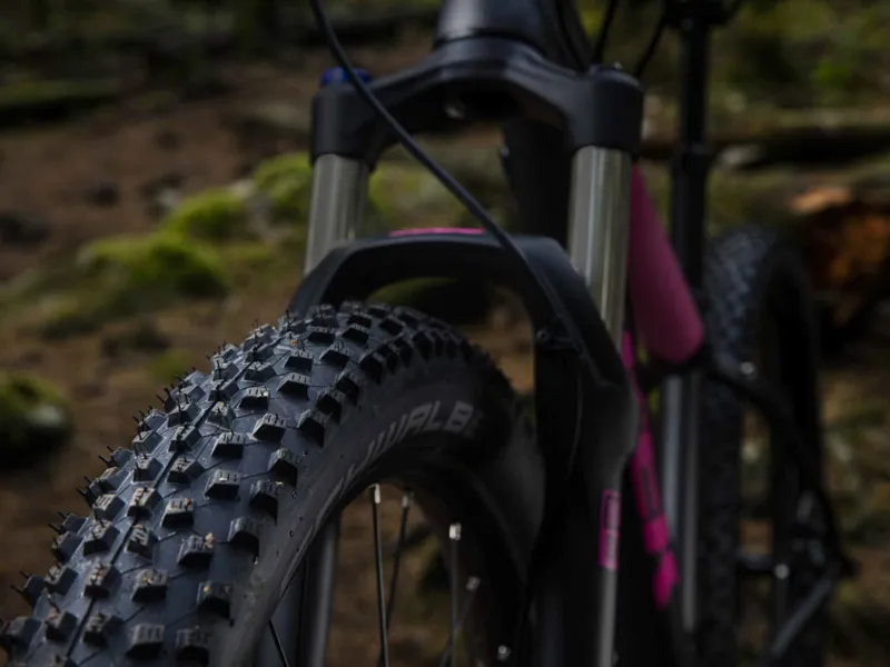 Trek Roscoe 8 Womens 2018 Matte Dnister Black Mountain Bike-3