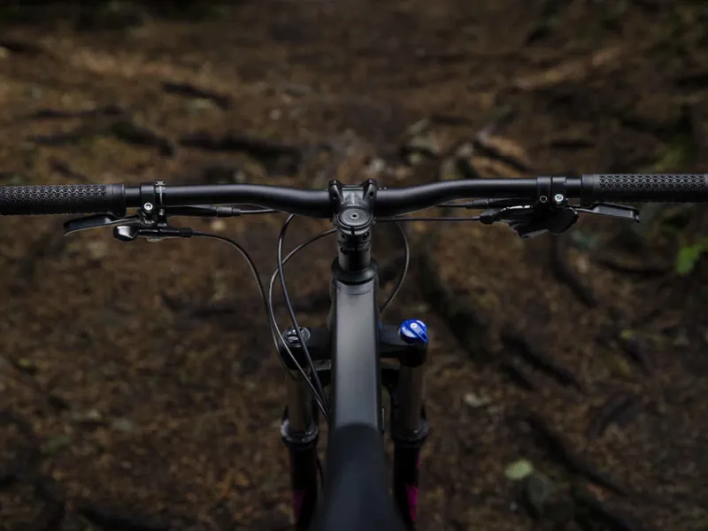 Trek Roscoe 8 Womens 2018 Matte Dnister Black Mountain Bike-8