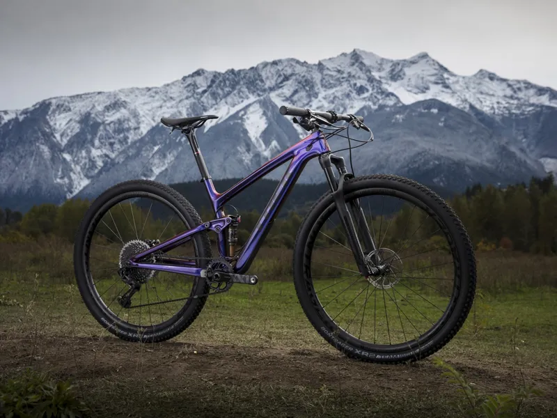Trek Top Fuel 9 9 Sl 2019 Carbon Full Mountain Bike Purple Buy