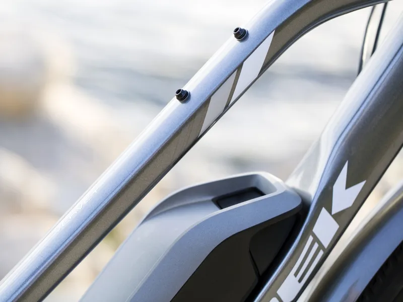 Trek Verve + Low-Step 2019 Womens Hybrid E-bike Grey-3