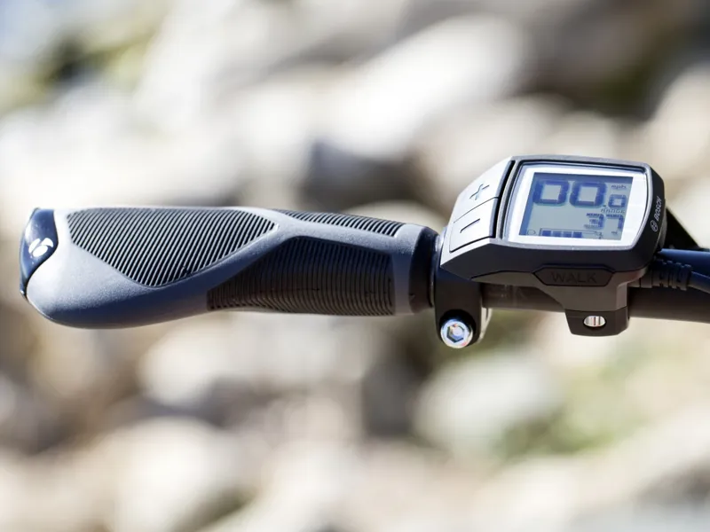 Trek Verve + Low-Step 2019 Womens Hybrid E-bike Grey-4