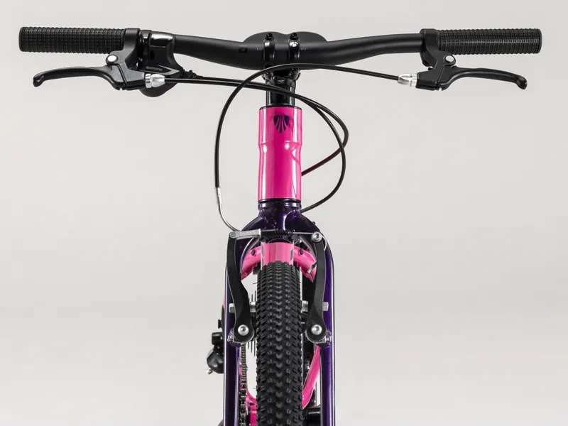 Trek wahoo 24 clearance 2019